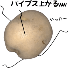 Potato talking sticker(youth words)