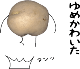 Potato talking sticker(youth words) sticker #14813076