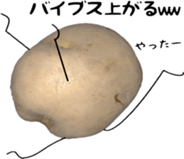 Potato talking sticker(youth words) sticker #14813081