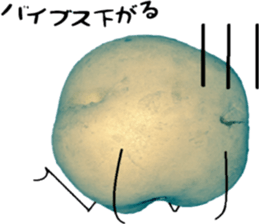 Potato talking sticker(youth words) sticker #14813082