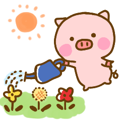 Pig perfect circle friendly