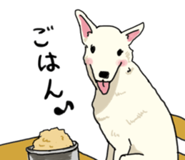 Oshizu Sticker sticker #14816489