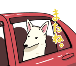 Oshizu Sticker sticker #14816494