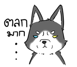 Look at dog sticker #14816554