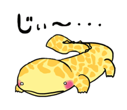 It is a sticker of Giant salamander sticker #14818104