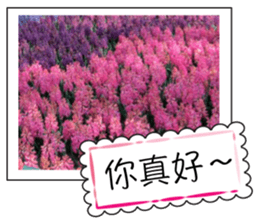 Flower photo greeting card (chinese) sticker #14820653