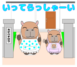 Capybara "Capyhachirou". sticker #14822504