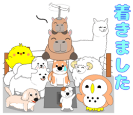 Capybara "Capyhachirou". sticker #14822509