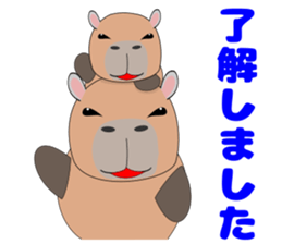Capybara "Capyhachirou". sticker #14822515