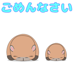 Capybara "Capyhachirou". sticker #14822533