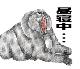 Baboon Sticker sticker #14825592
