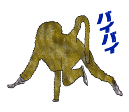 Baboon Sticker sticker #14825597