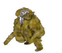 Baboon Sticker sticker #14825599