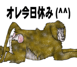 Baboon Sticker sticker #14825604
