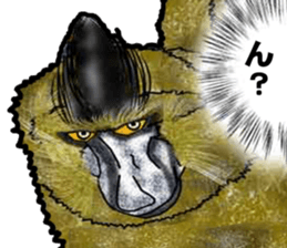 Baboon Sticker sticker #14825607