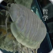 Animal photograph sticker sticker #14825987