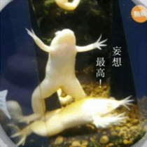 Animal photograph sticker sticker #14825989