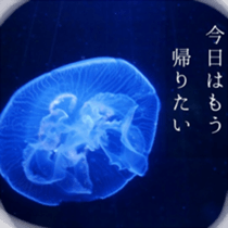 Animal photograph sticker sticker #14825998