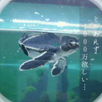 Animal photograph sticker sticker #14826000