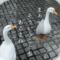 Animal photograph sticker sticker #14826006