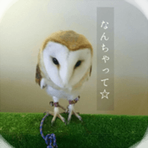 Animal photograph sticker sticker #14826008