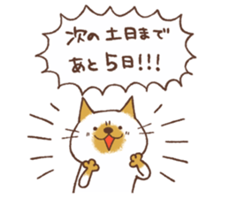 CAT and HOLIDAY, and PAID HOLIDAY sticker #14827036