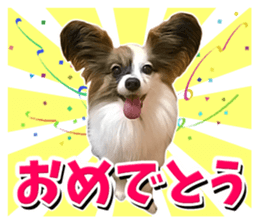 Cute Dogs and Cats Sticker sticker #14827694