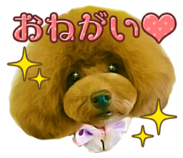 Cute Dogs and Cats Sticker sticker #14827695