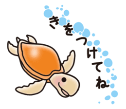 Sticker of a cute dolphin <vol.5> sticker #14829130