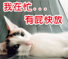 fate Cute cat sticker #14831102