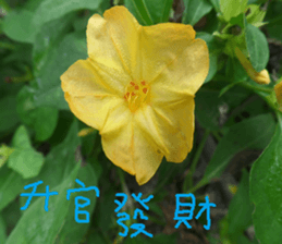 Color wheat sticker #14831320