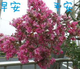 Color wheat sticker #14831321