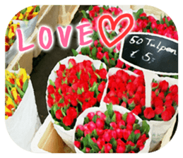 Beautiful European sticker for women sticker #14833452