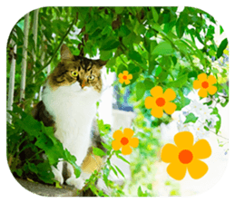 Beautiful European sticker for women sticker #14833453