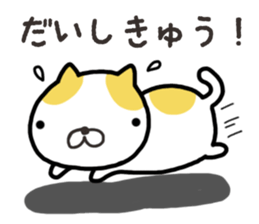 Wide-set eyes cat sticker #14834294