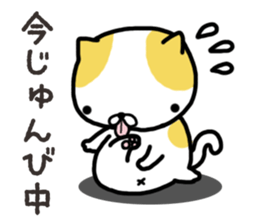 Wide-set eyes cat sticker #14834295