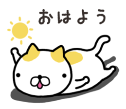 Wide-set eyes cat sticker #14834296