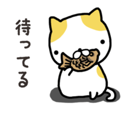 Wide-set eyes cat sticker #14834299