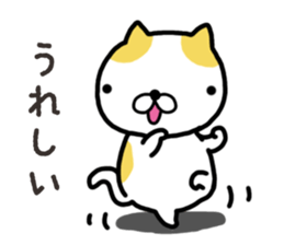 Wide-set eyes cat sticker #14834302