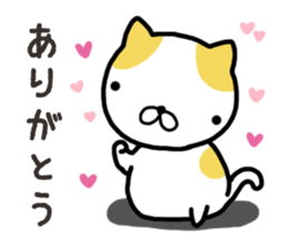 Wide-set eyes cat sticker #14834303