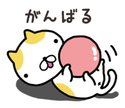 Wide-set eyes cat sticker #14834305