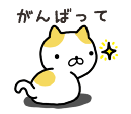 Wide-set eyes cat sticker #14834306