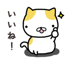 Wide-set eyes cat sticker #14834307