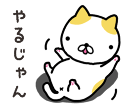 Wide-set eyes cat sticker #14834309