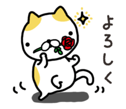 Wide-set eyes cat sticker #14834313