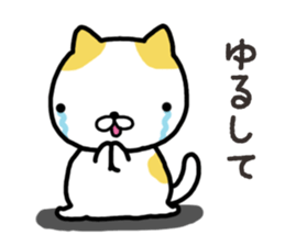 Wide-set eyes cat sticker #14834317