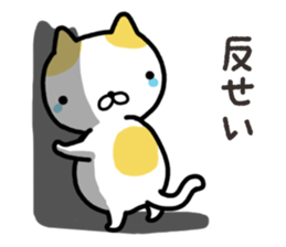 Wide-set eyes cat sticker #14834318