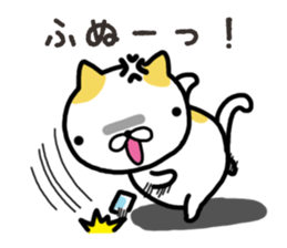 Wide-set eyes cat sticker #14834319