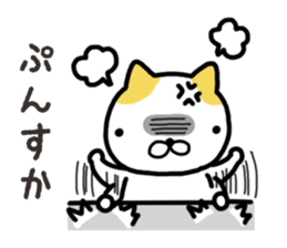 Wide-set eyes cat sticker #14834320