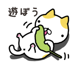 Wide-set eyes cat sticker #14834323